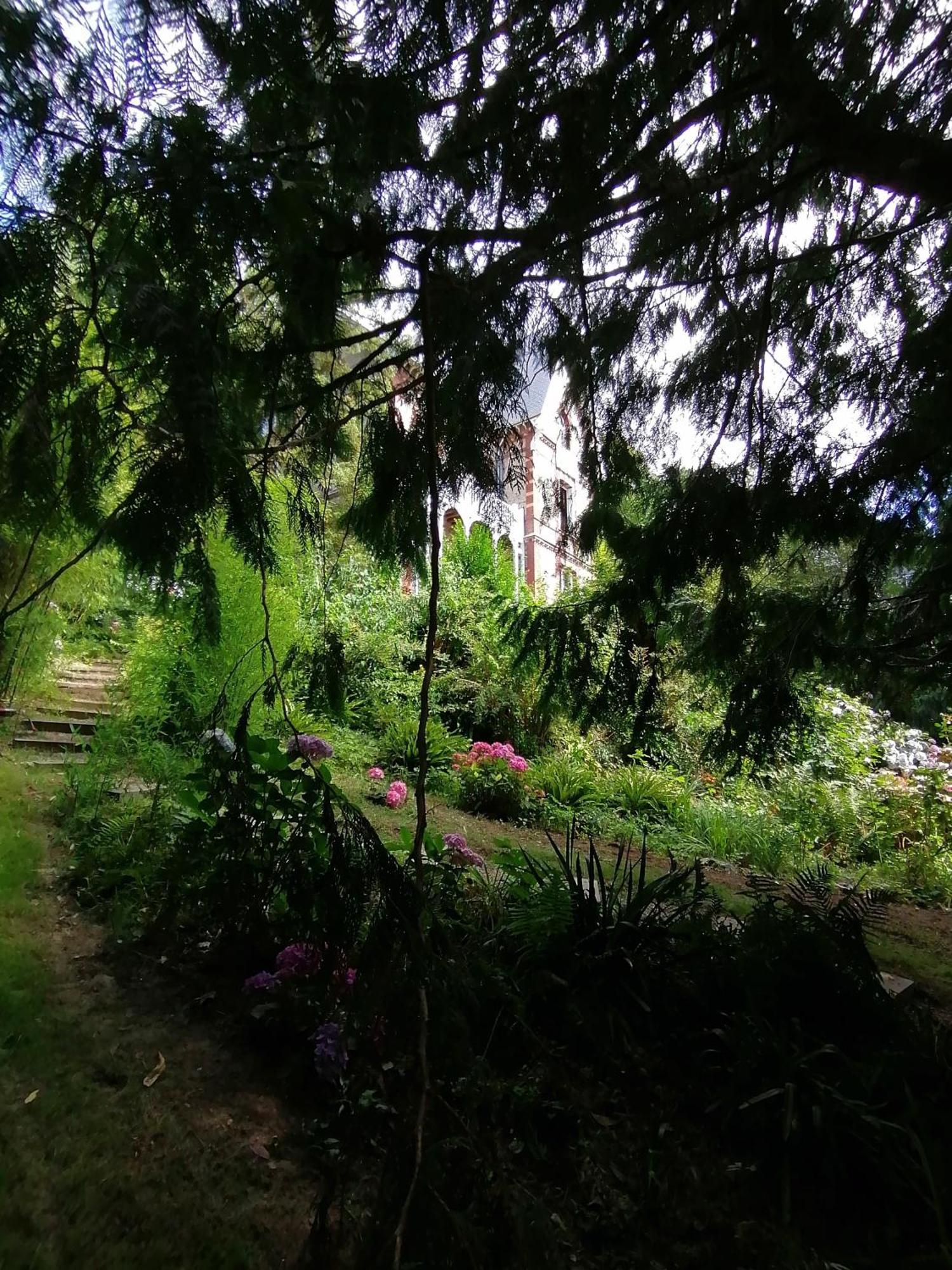 Villa Eliane - Parking Prive Étretat Dış mekan fotoğraf