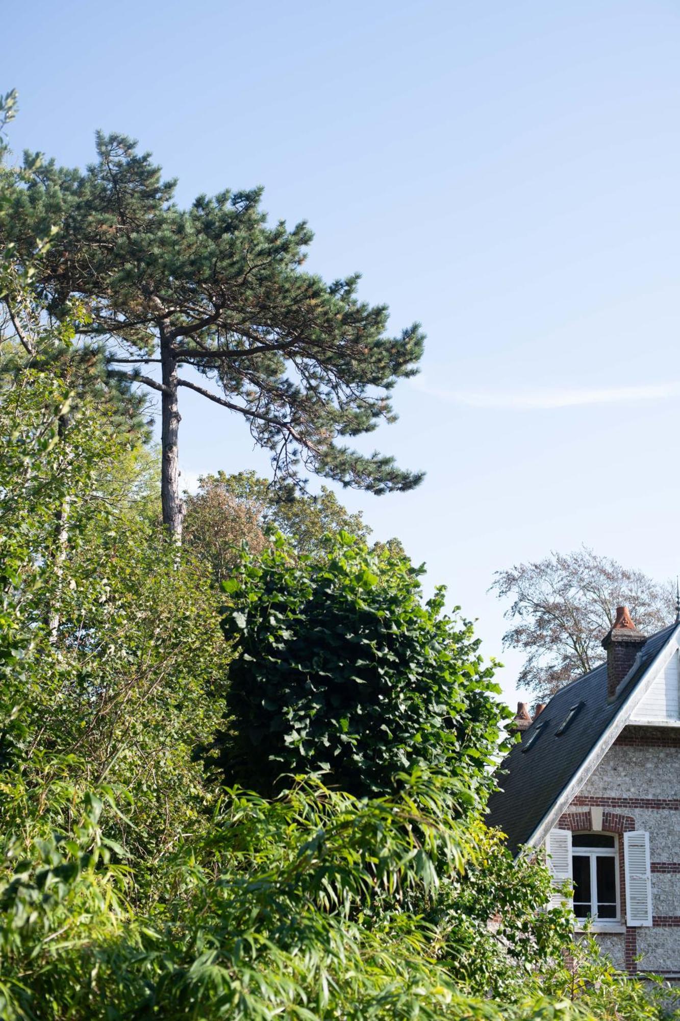 Villa Eliane - Parking Prive Étretat Dış mekan fotoğraf